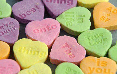 食品加工サンプル1