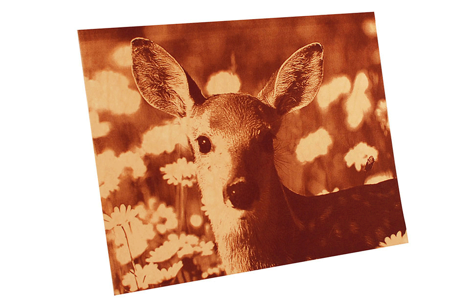 写真彫刻加工サンプル11