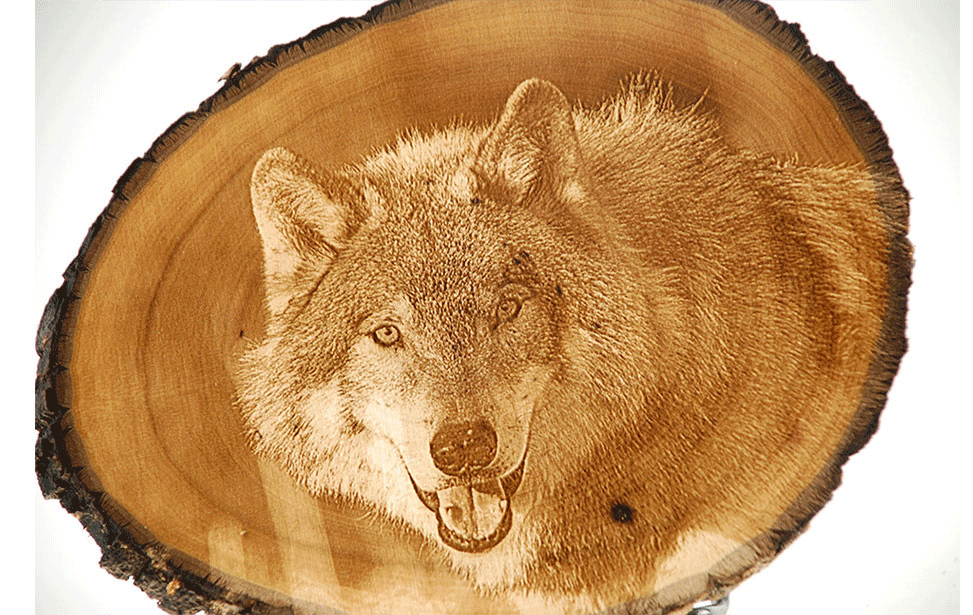 狼の写真を木に彫刻